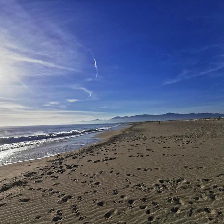 Appartement Climatise Vue Mer 208 Canet-en-Roussillon Kültér fotó